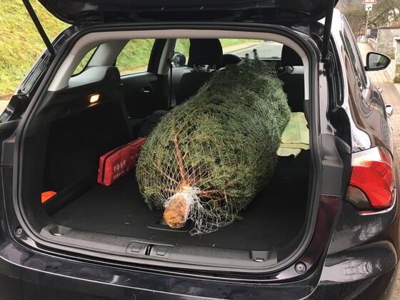 Im schwarzen passt der Baum auch innen rein