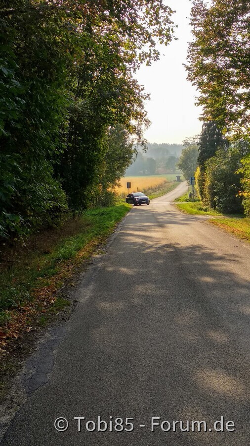 Herbstbilder