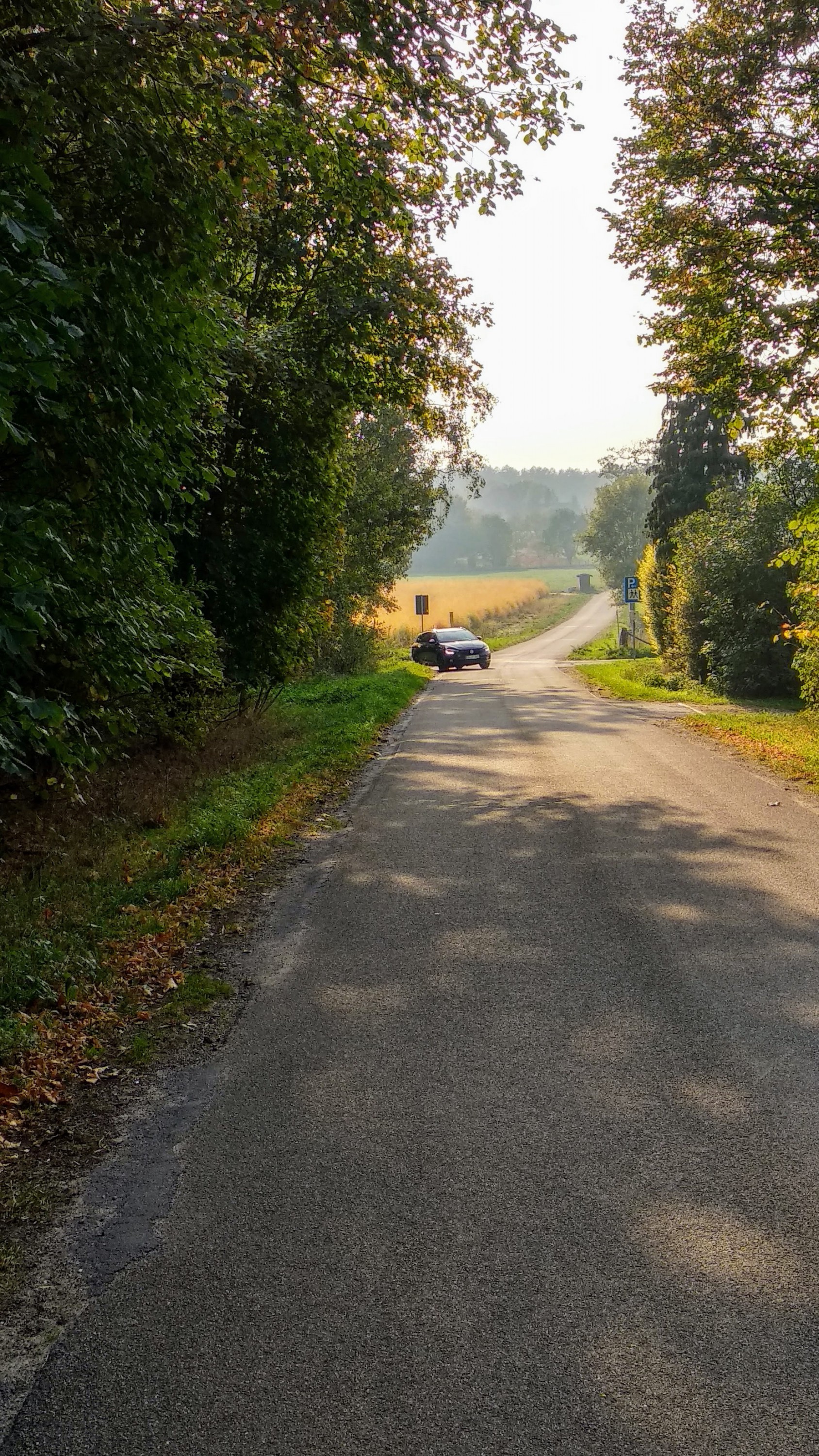 Herbstbilder