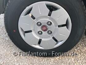 r-6GelfbG8SN8zUHyam7