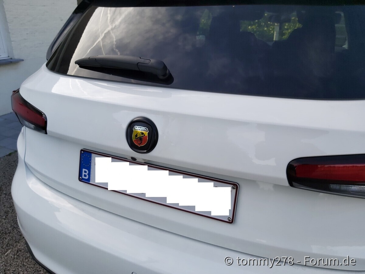 back logo