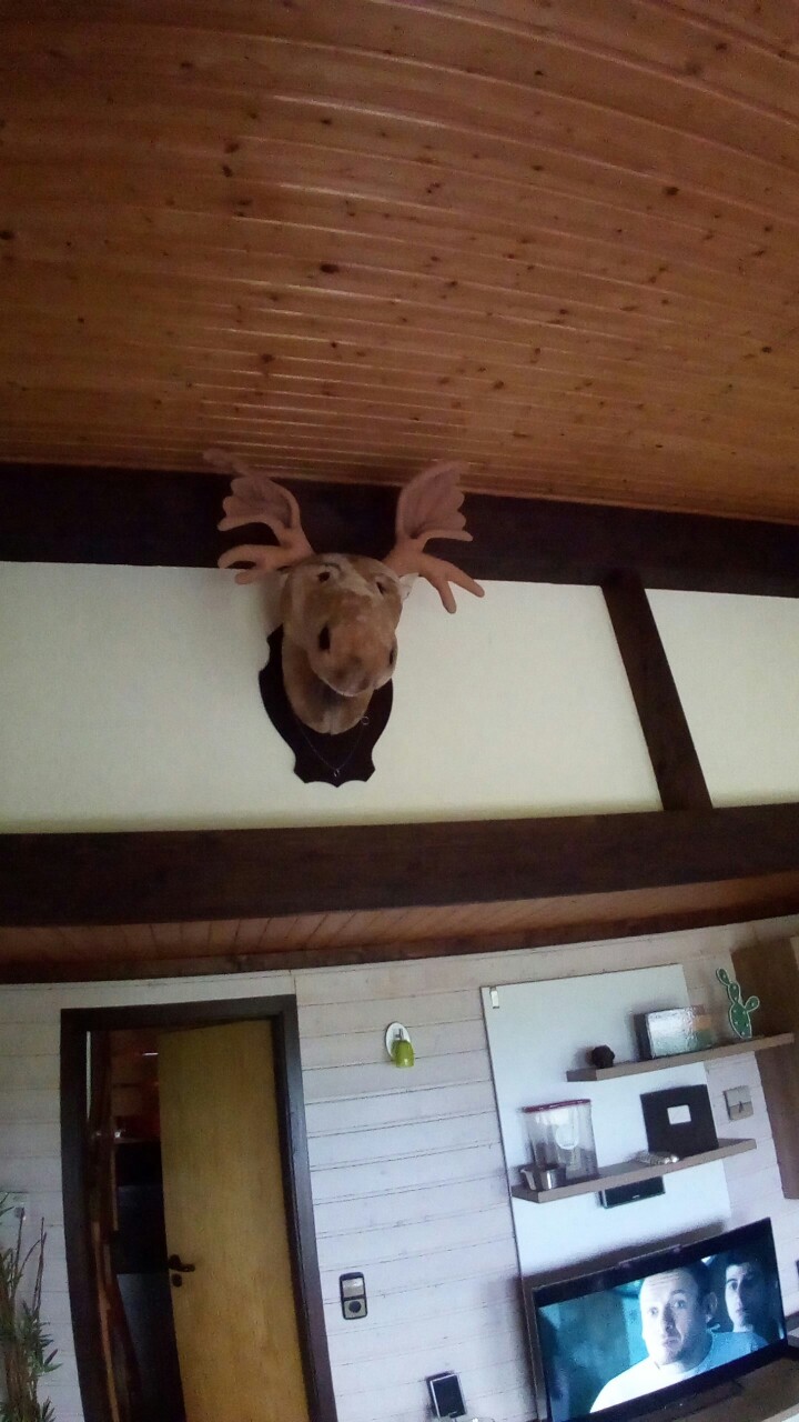 Noch ein paar Bad Dürrheim 1.0