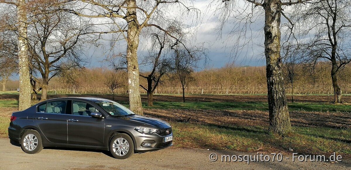 Meine Limosine bei verschiedenem Lichteinfall