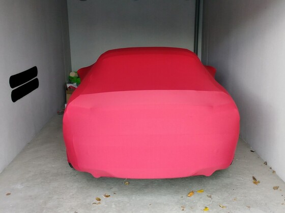 Meine Winterschläfer