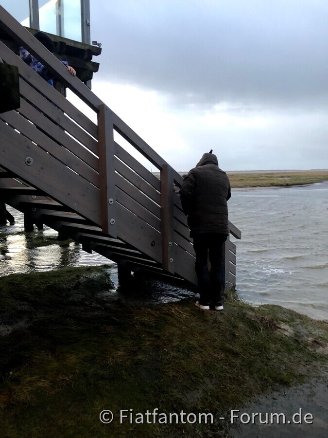 Die Flut.....