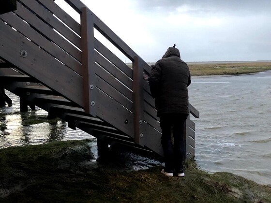 Die Flut.....