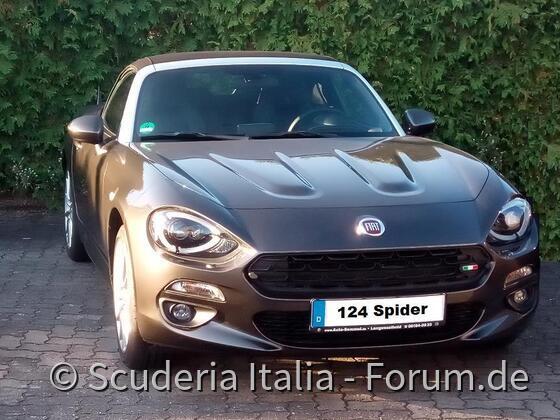 Das tapfere Spiderlein