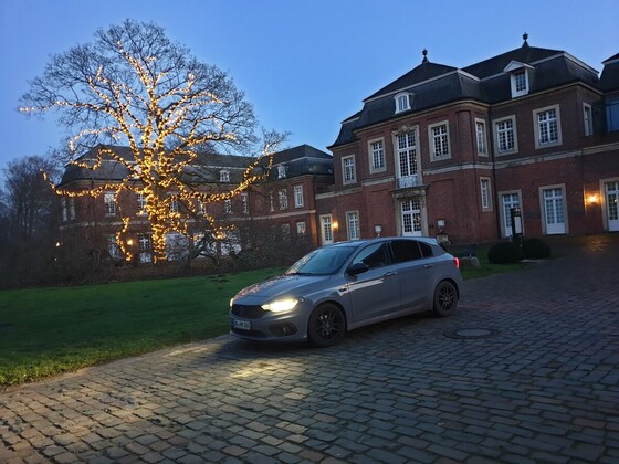 Der Königliche Tipo hält Einzug ...