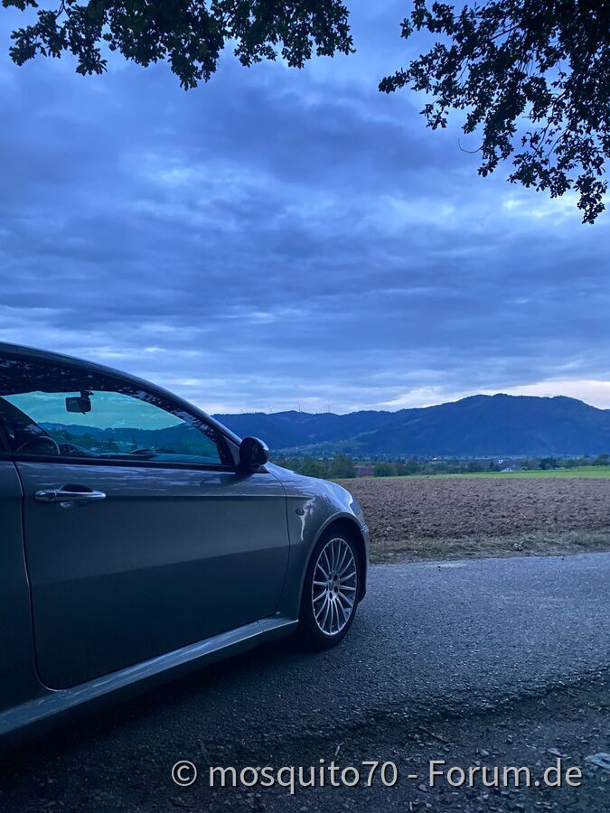Alfa GT