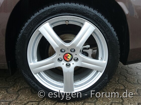 eslygens tipo3