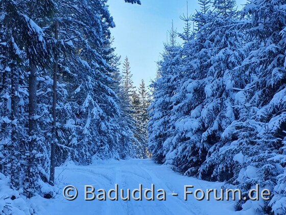 Winterspazierung in Südschweden