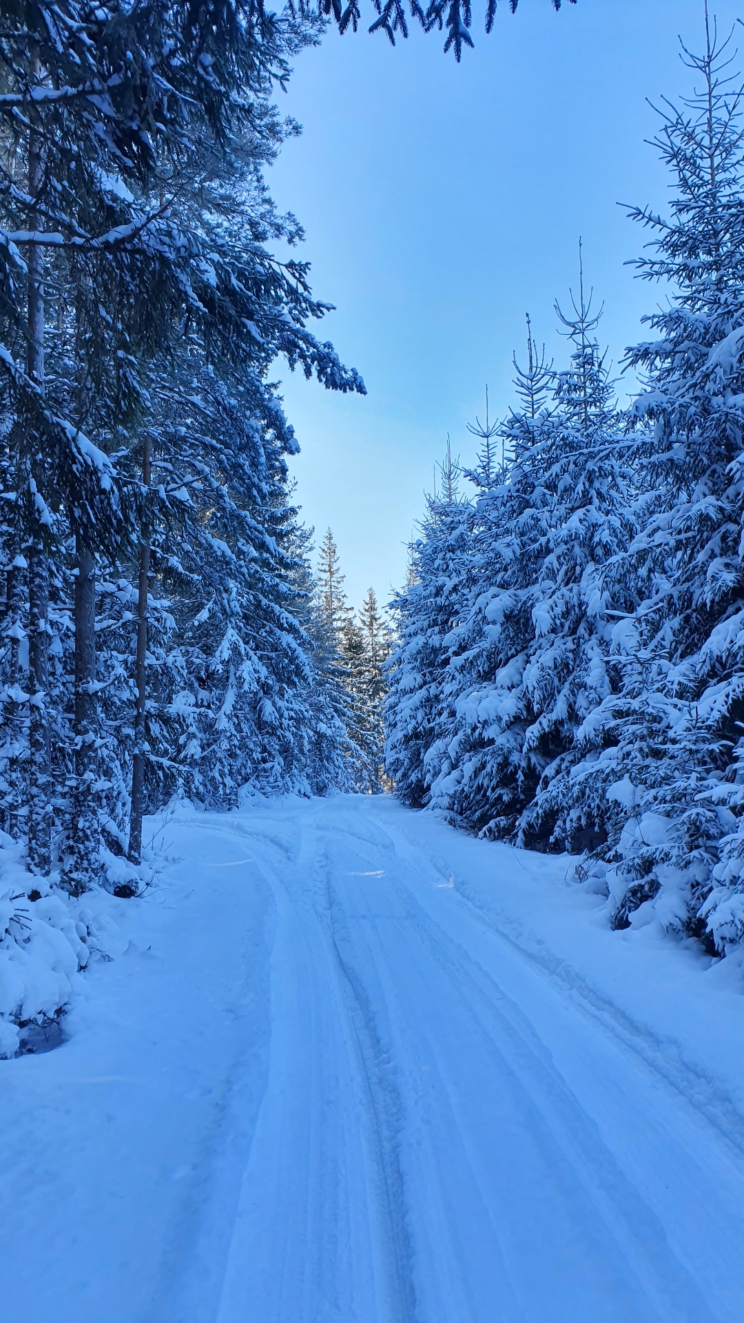 Winterspazierung in Südschweden