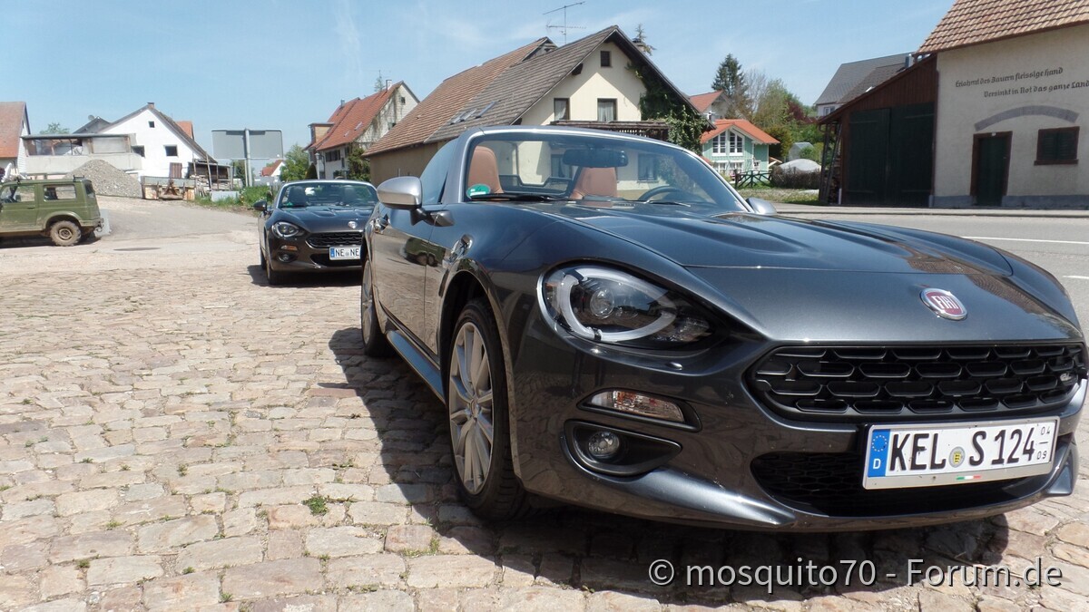 Black Forrest Connection