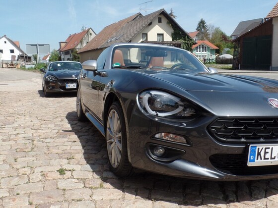 Black Forrest Connection