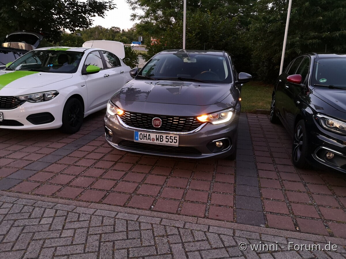 Tipo-Treffen Steinhuder Meer 2019