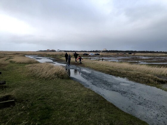 Land unter.....rette sich wer kann