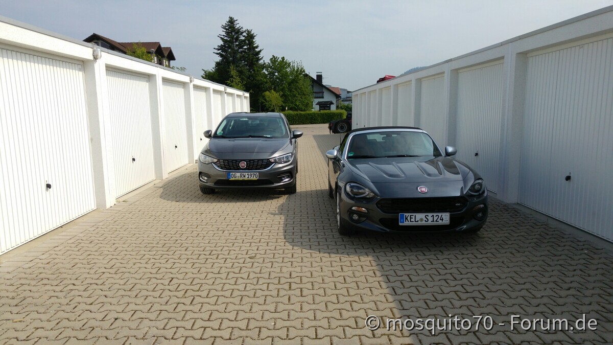 Ungleiche Brüder