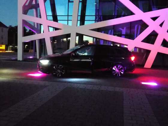 Black Viper bei Nacht
