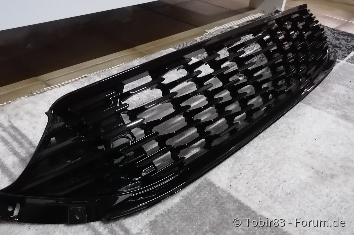 cleaner Frontgrill