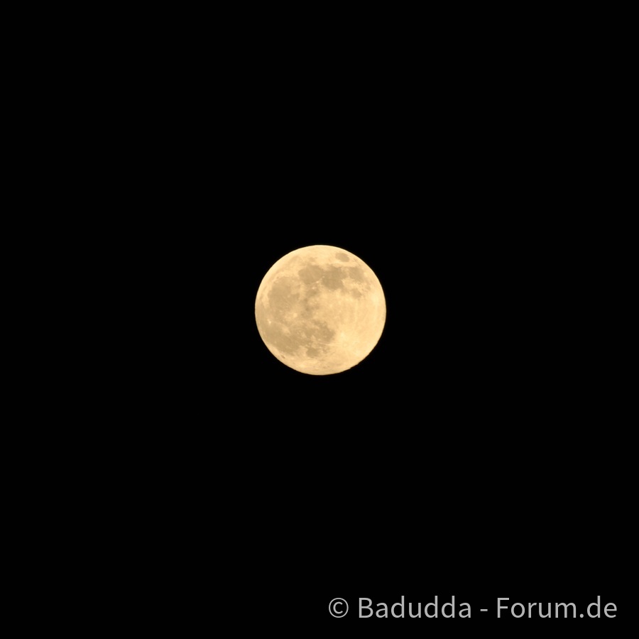 Pink Moon in Schweden