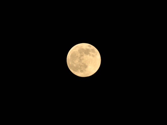 Pink Moon in Schweden