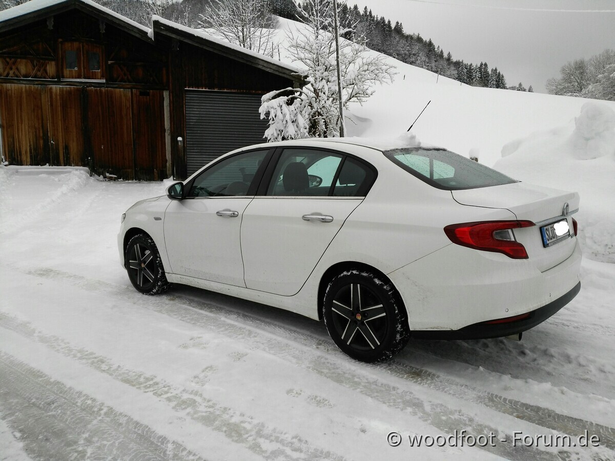 ANTONIO im Winterurlaub (Bild1)