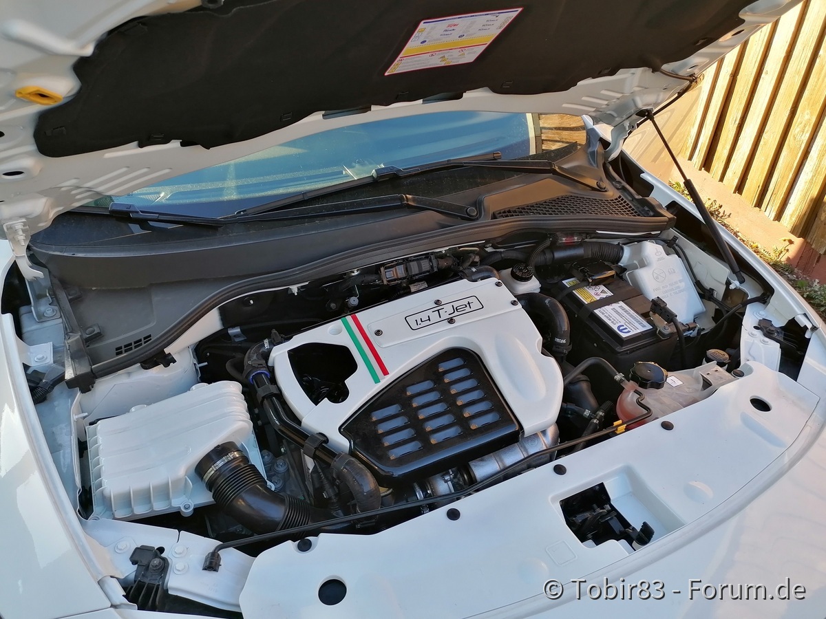 Noch ein paar Kleinigkeiten ( 710er Deckel,Ölmesstab, Deckel von Bremsflüssigkeitsbehälter,Kühlwasserbehälter,Spritzwasserbehälter, Pluspolabdeckung) farblich angepasst und endlich einen Haubenlift verbaut.