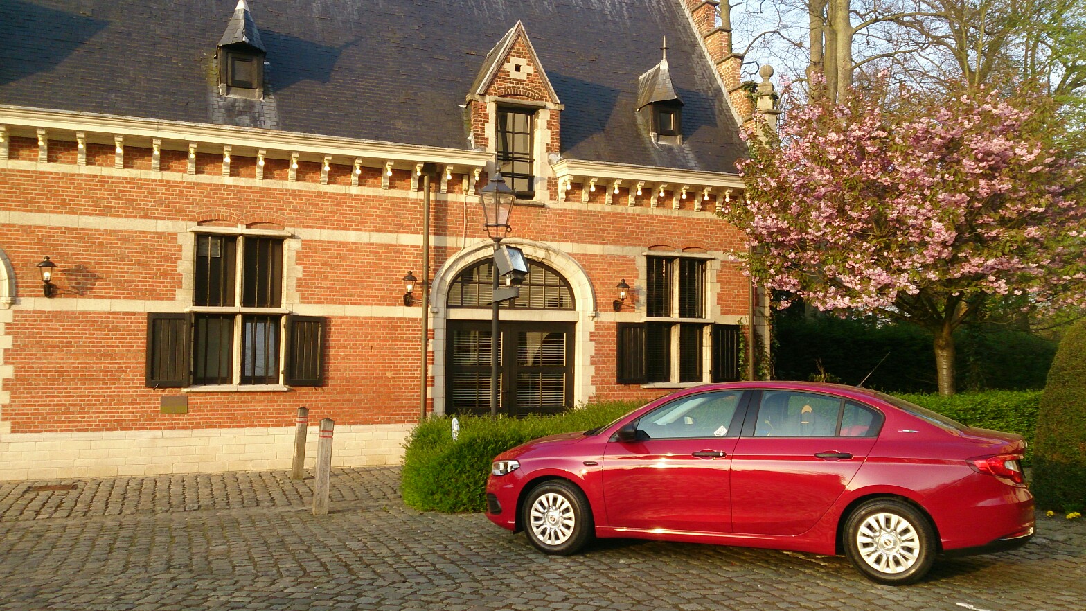 Tipo in Belgien