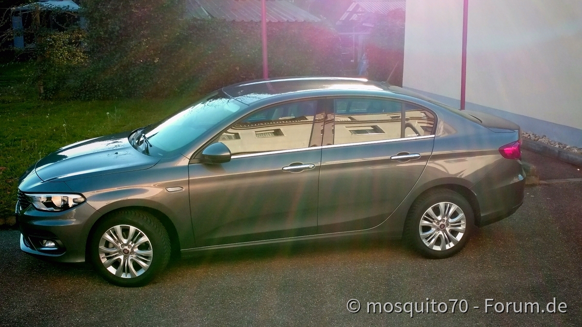 Mein Tipo mit Heiligenschein