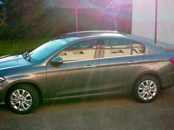 Mein Tipo mit Heiligenschein