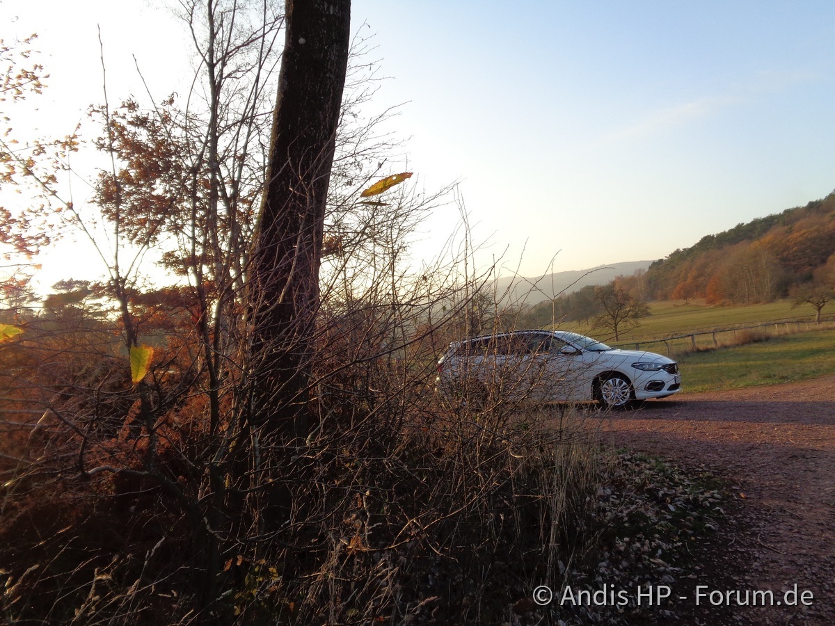 Herbstimpressionen