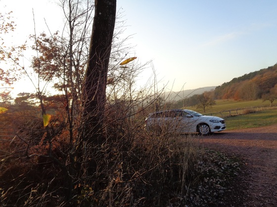 Herbstimpressionen
