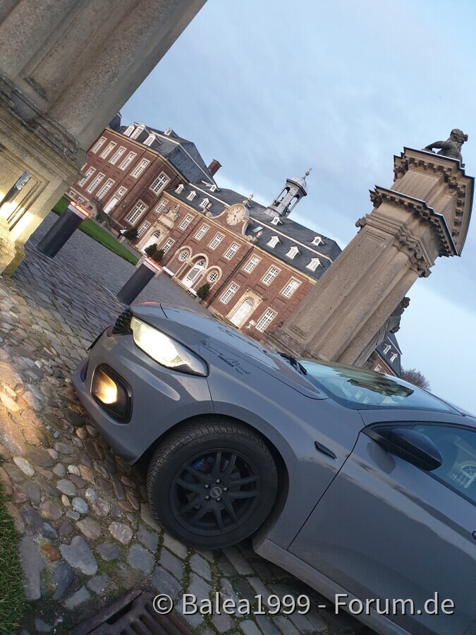 Der Königliche Tipo hält Einzug ...