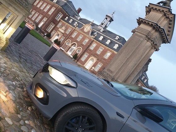 Der Königliche Tipo hält Einzug ...