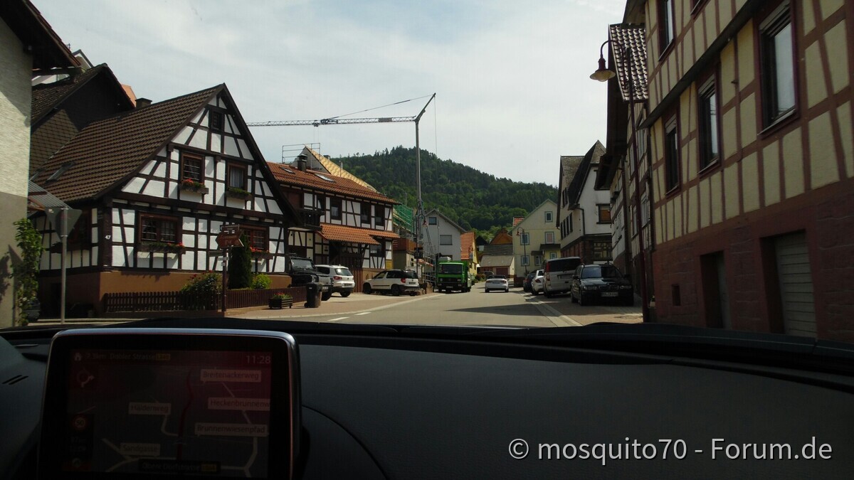 Tour de Schwarzwald Team Tipo Forum