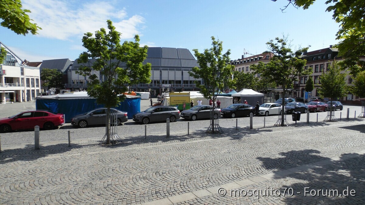 Invasion der Tipos