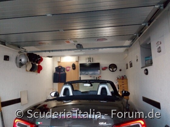 Mein Spider in seinem Wohnzimmer