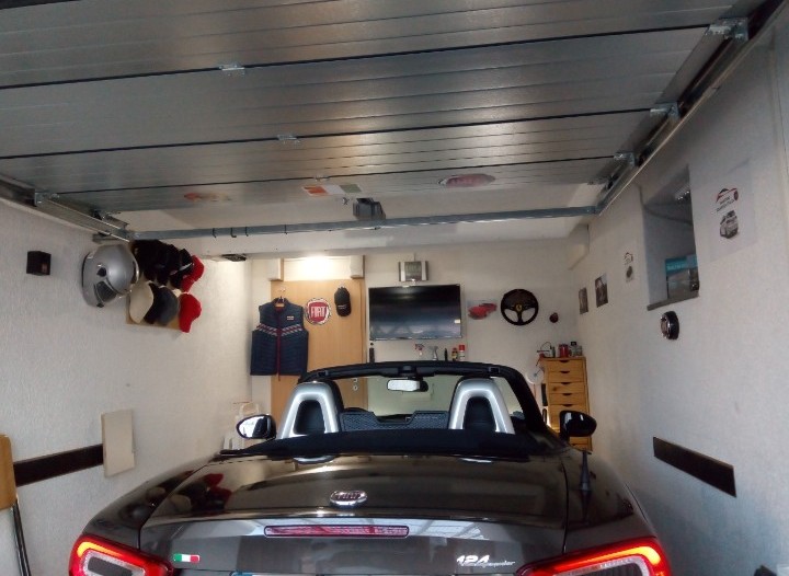 Mein Spider in seinem Wohnzimmer