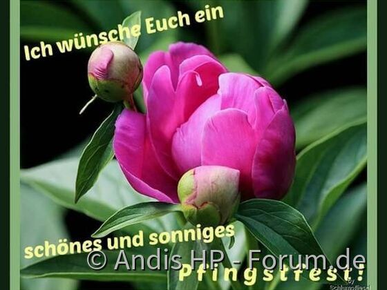 Pfingstgruß