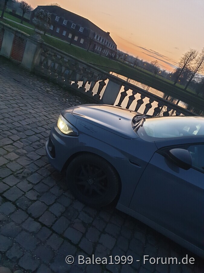 Der Königliche Tipo hält Einzug ...