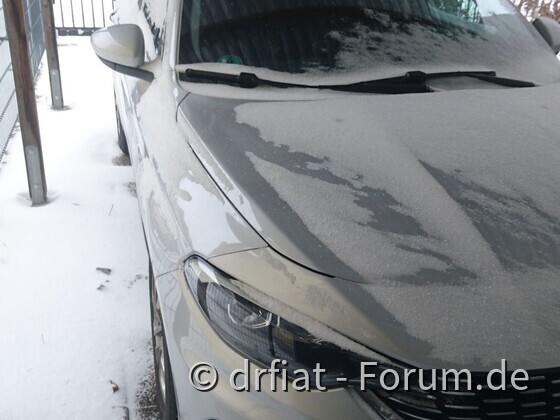 Tipo unter'm Carport eingeschneit