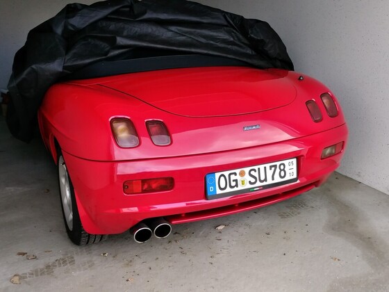 Meine Winterschläfer