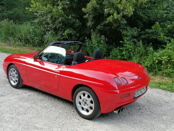 Die alte Dame in ihrem natürlichen Lebensraum