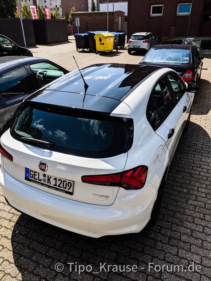 Tipo Black and White