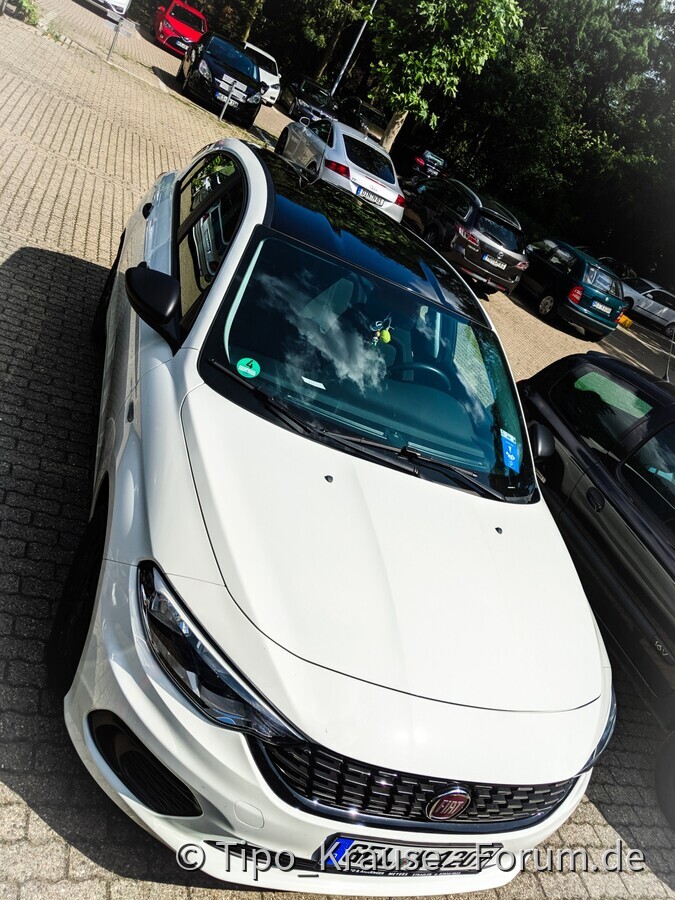 Tipo Black and White