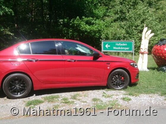 Tipo geniesst Pfingsten