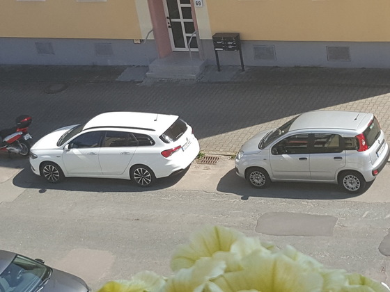 neues Familienmitglied
