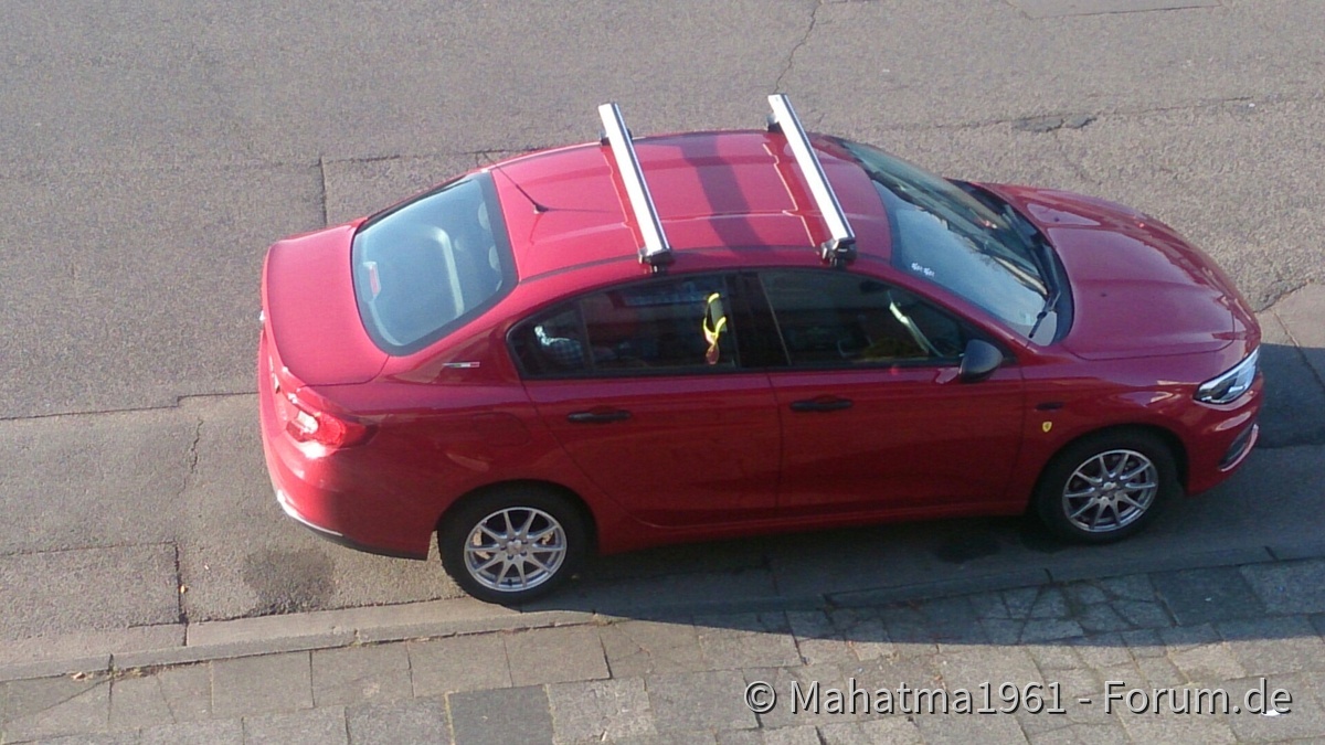 Bereit für den Weihnachtsbaumtransport