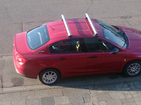 Bereit für den Weihnachtsbaumtransport