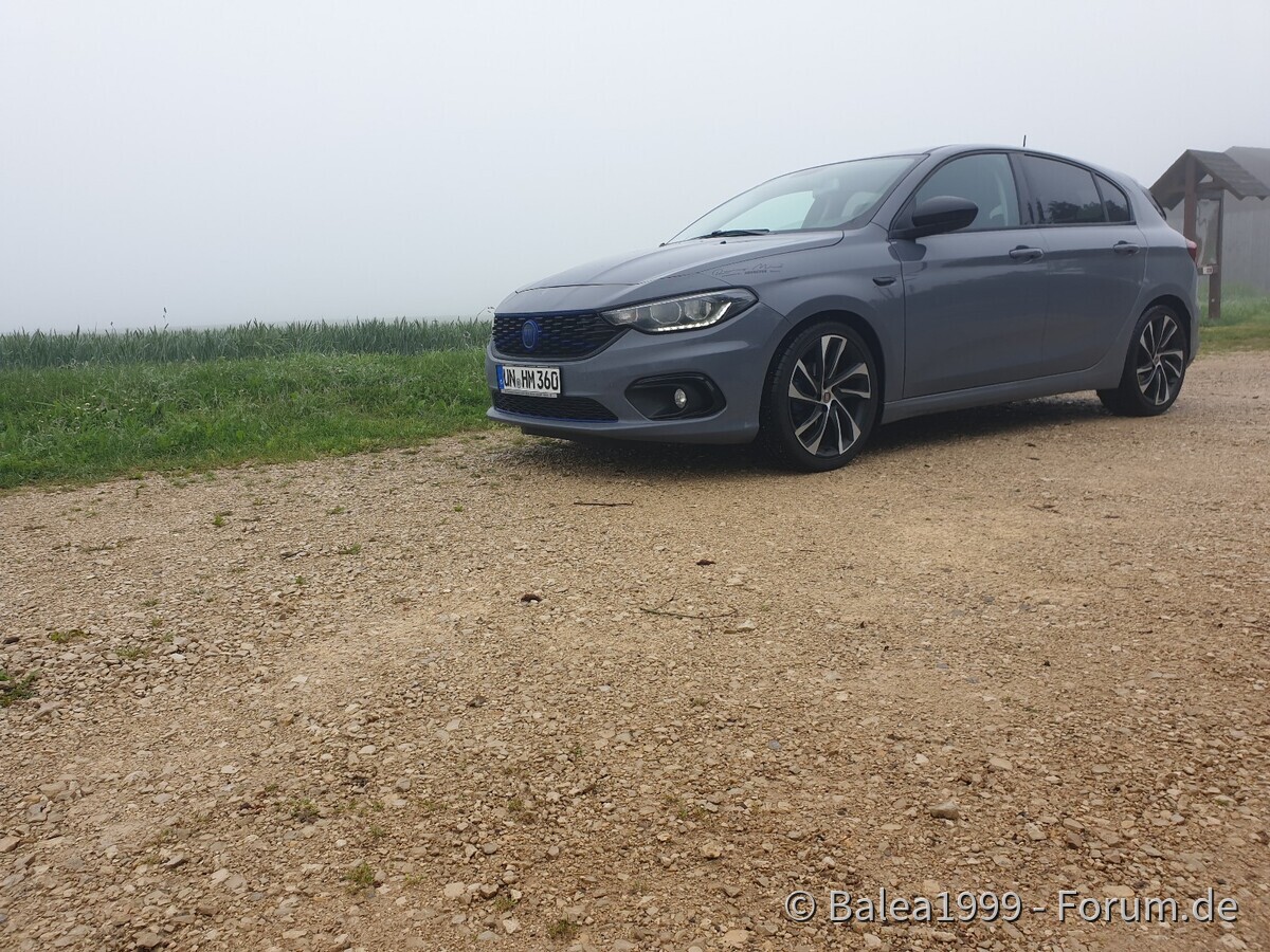 Schwarzwald ohne Bäume